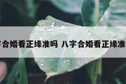 八字合婚看正缘准吗 八字合婚看正缘准吗女