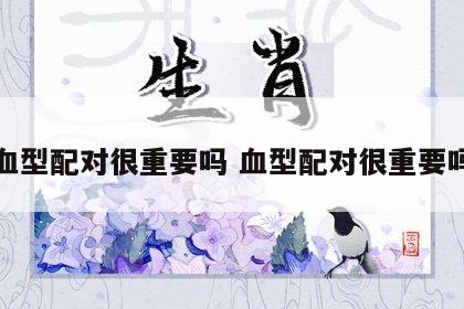 血型配对很重要吗 血型配对很重要吗