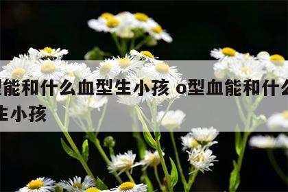 o型能和什么血型生小孩 o型血能和什么血型生小孩