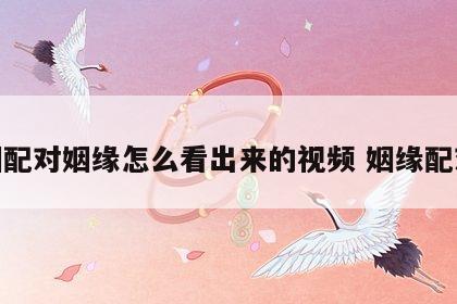 婚姻配对姻缘怎么看出来的视频 姻缘配对表