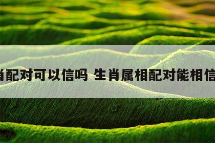 生肖配对可以信吗 生肖属相配对能相信吗?