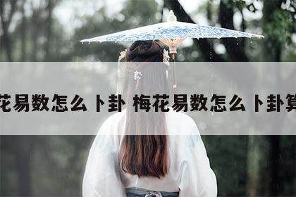 梅花易数怎么卜卦 梅花易数怎么卜卦算命