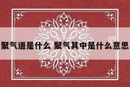 聚气道是什么 聚气其中是什么意思
