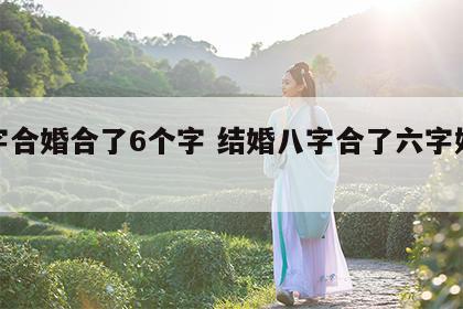 八字合婚合了6个字 结婚八字合了六字好不好