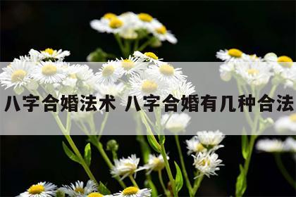 八字合婚法术 八字合婚有几种合法