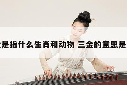 三金是指什么生肖和动物 三金的意思是什么
