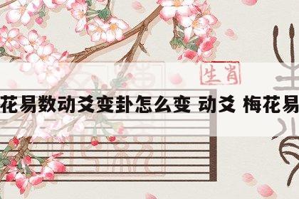梅花易数动爻变卦怎么变 动爻 梅花易数
