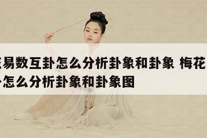 梅花易数互卦怎么分析卦象和卦象 梅花易数互卦怎么分析卦象和卦象图