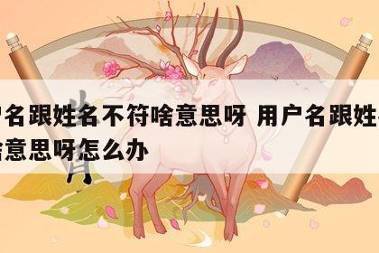 用户名跟姓名不符啥意思呀 用户名跟姓名不符啥意思呀怎么办