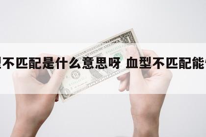 血型不匹配是什么意思呀 血型不匹配能怀孕吗