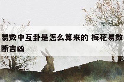 梅花易数中互卦是怎么算来的 梅花易数互卦怎么断吉凶