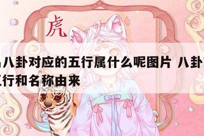 周易八卦对应的五行属什么呢图片 八卦对应的五行和名称由来
