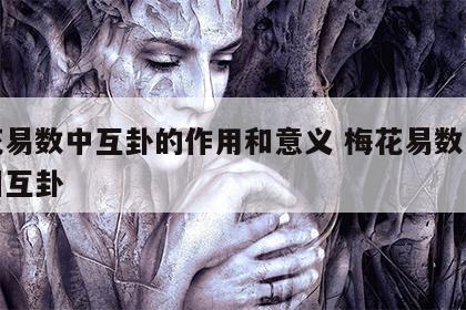 梅花易数中互卦的作用和意义 梅花易数中什么叫互卦