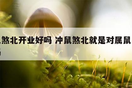 冲鼠煞北开业好吗 冲鼠煞北就是对属鼠的不好吗