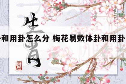 体卦和用卦怎么分 梅花易数体卦和用卦怎么分