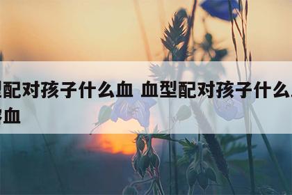 血型配对孩子什么血 血型配对孩子什么血型会溶血