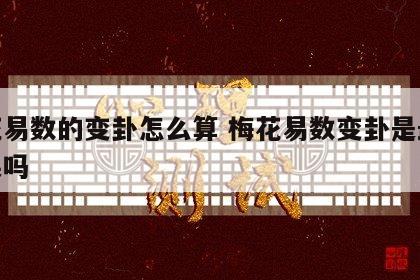 梅花易数的变卦怎么算 梅花易数变卦是最终结果吗