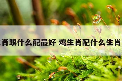 鸡生肖跟什么配最好 鸡生肖配什么生肖最旺