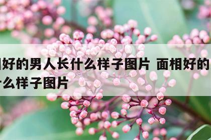 面相好的男人长什么样子图片 面相好的男人长什么样子图片