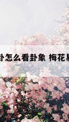 梅花易数变卦怎么看卦象 梅花易数变卦体用不看