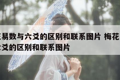 梅花易数与六爻的区别和联系图片 梅花易数与六爻的区别和联系图片