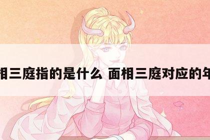 面相三庭指的是什么 面相三庭对应的年龄