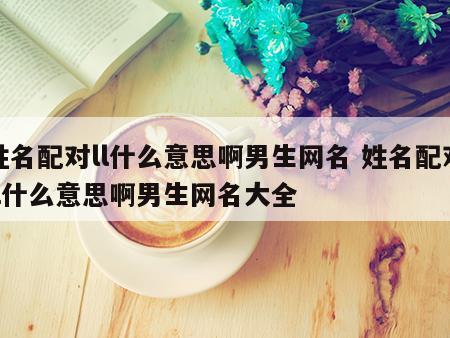 姓名配对ll什么意思啊男生网名 姓名配对ll什么意思啊男生网名大全