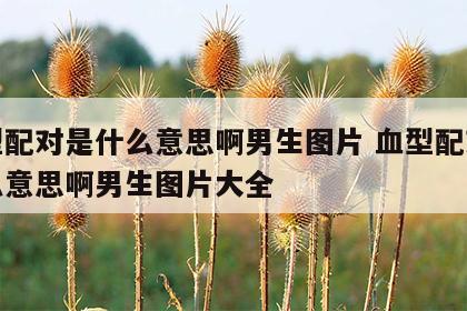 血型配对是什么意思啊男生图片 血型配对是什么意思啊男生图片大全
