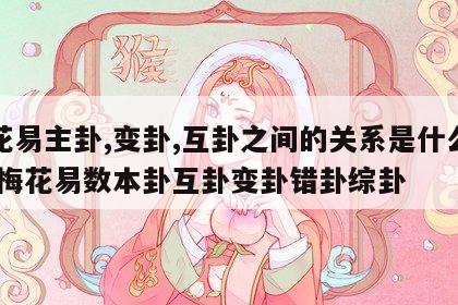 梅花易主卦,变卦,互卦之间的关系是什么意思 梅花易数本卦互卦变卦错卦综卦