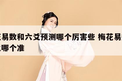 梅花易数和六爻预测哪个厉害些 梅花易数和六爻哪个准