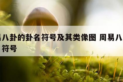周易八卦的卦名符号及其类像图 周易八卦的卦名符号