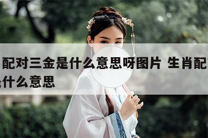 生肖配对三金是什么意思呀图片 生肖配对三合是什么意思