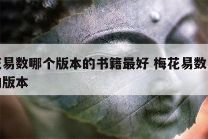 梅花易数哪个版本的书籍最好 梅花易数书买谁的版本