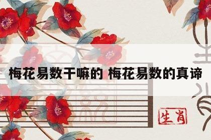 梅花易数干嘛的 梅花易数的真谛