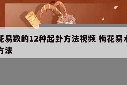 梅花易数的12种起卦方法视频 梅花易术起卦方法