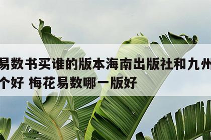 梅花易数书买谁的版本海南出版社和九州出版社哪个好 梅花易数哪一版好