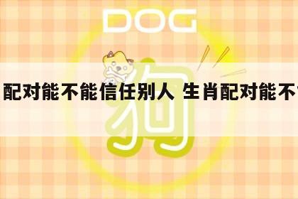 生肖配对能不能信任别人 生肖配对能不能相信