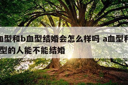 a血型和b血型结婚会怎么样吗 a血型和b血型的人能不能结婚