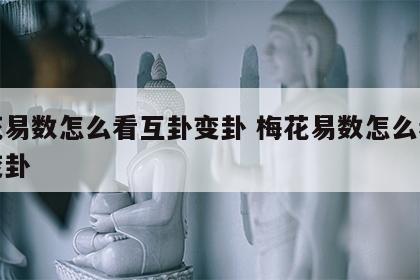 梅花易数怎么看互卦变卦 梅花易数怎么看互卦变卦