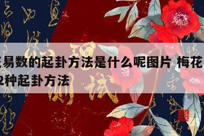 梅花易数的起卦方法是什么呢图片 梅花易数的12种起卦方法