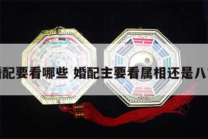 婚配要看哪些 婚配主要看属相还是八字