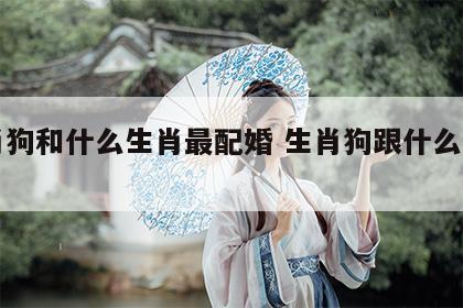 生肖狗和什么生肖最配婚 生肖狗跟什么属相配