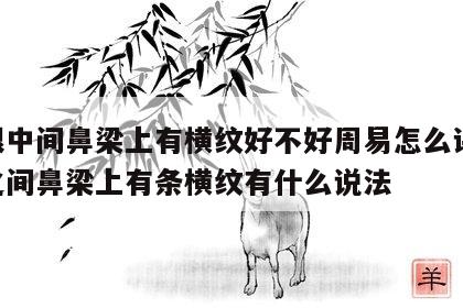 两眼中间鼻梁上有横纹好不好周易怎么讲 两眼之间鼻梁上有条横纹有什么说法