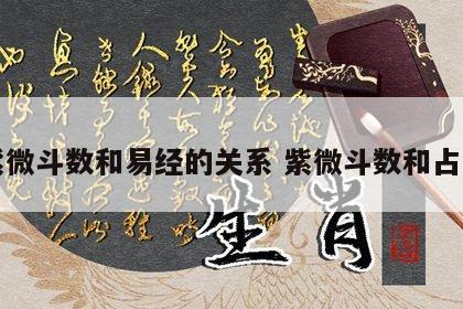 紫微斗数和易经的关系 紫微斗数和占星