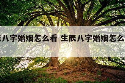 生辰八字婚姻怎么看 生辰八字婚姻怎么看出来