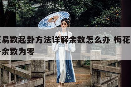 梅花易数起卦方法详解余数怎么办 梅花易数起卦余数为零