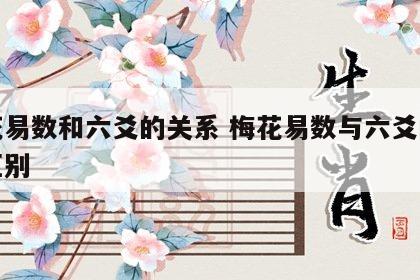 梅花易数和六爻的关系 梅花易数与六爻的根本区别