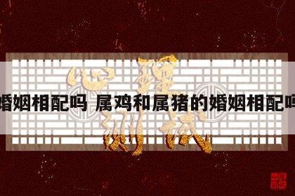 婚姻相配吗 属鸡和属猪的婚姻相配吗