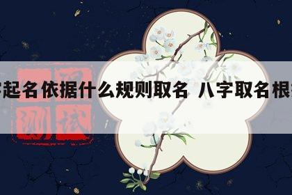 八字起名依据什么规则取名 八字取名根据什么