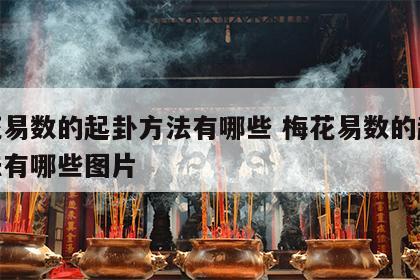 梅花易数的起卦方法有哪些 梅花易数的起卦方法有哪些图片